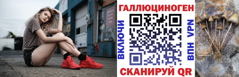 Галлюциногенные грибы Cubensis  Прохладный 
